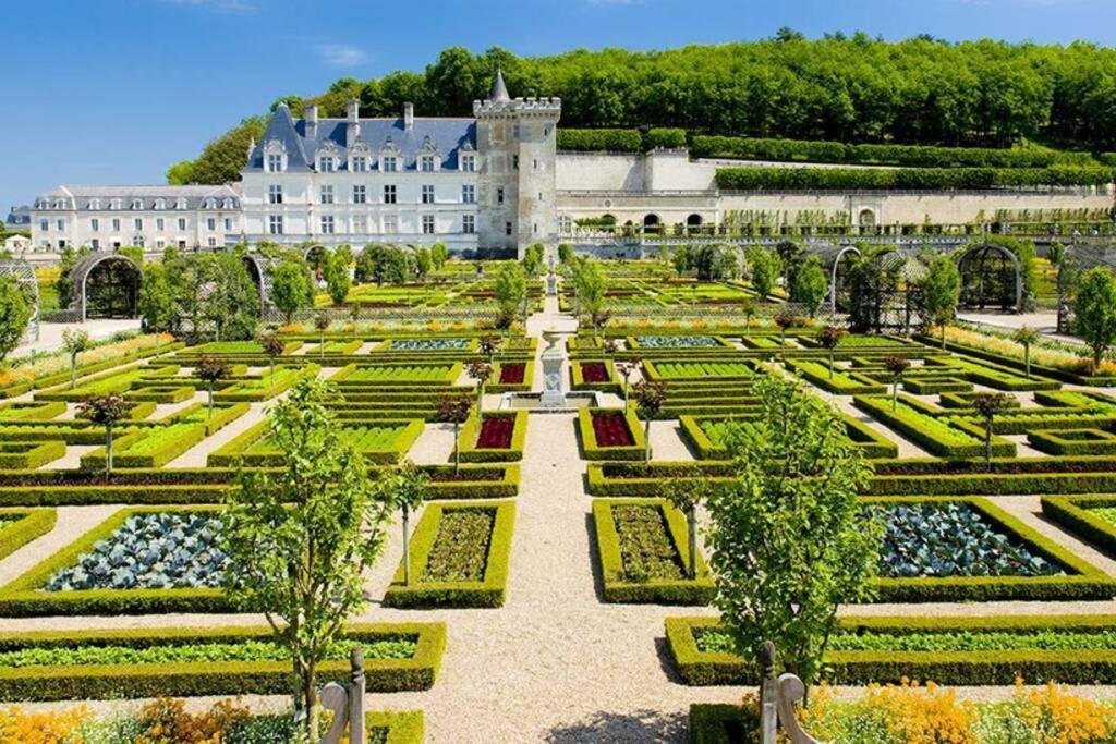 Amalouyse Studio De Charme Au Coeur Des Chateaux De Loire Montlouis-sur-Loire Exterior photo